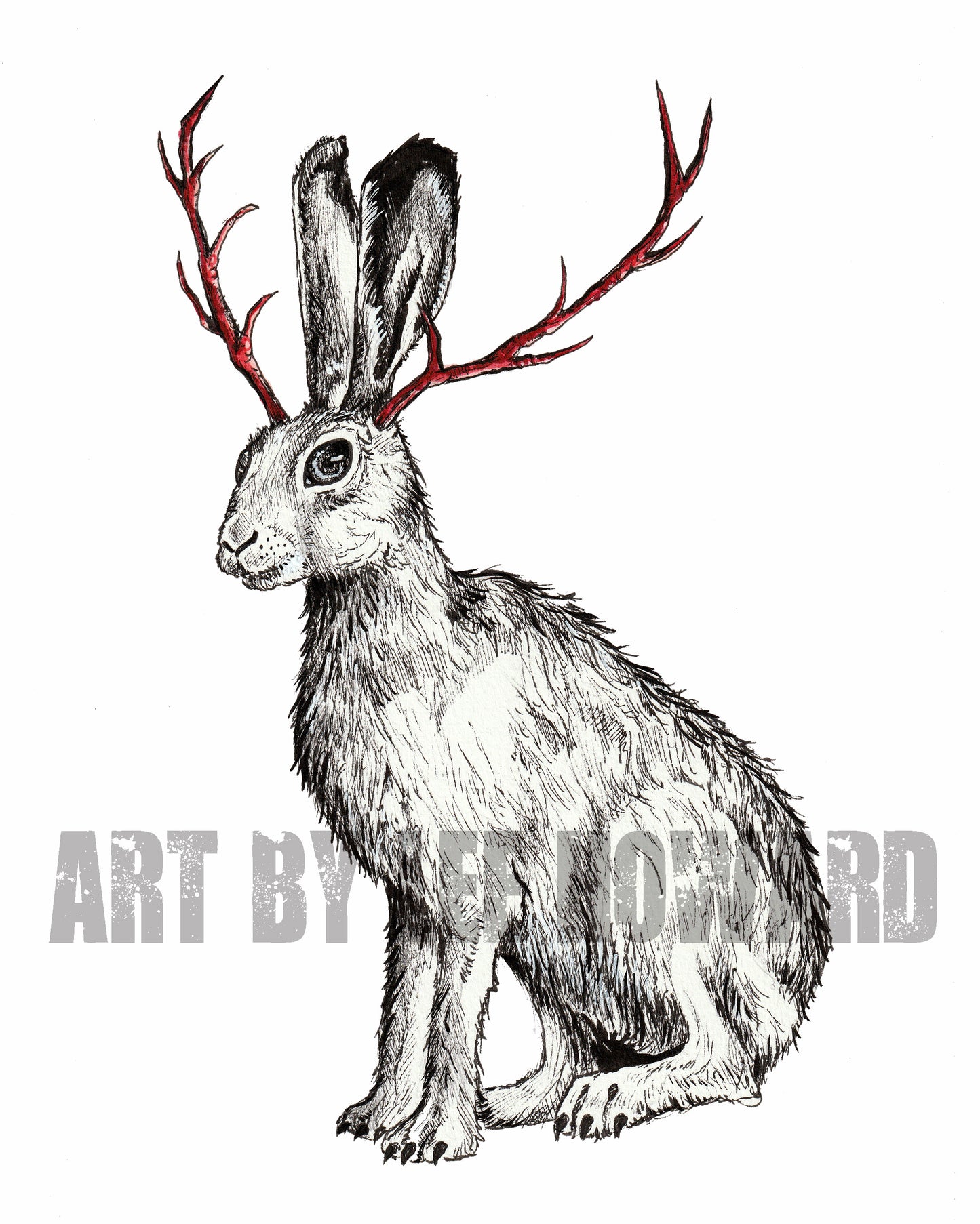 CRYPTIDS - the Jackalope 8x10 PRINT (blank background) - Signed!