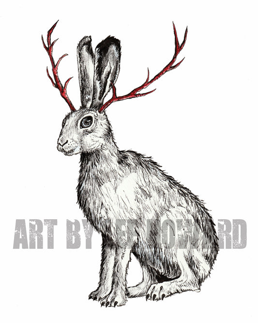CRYPTIDS - the Jackalope 8x10 PRINT (blank background) - Signed!